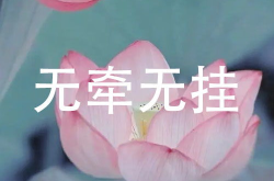头像配字,配字诠释人生